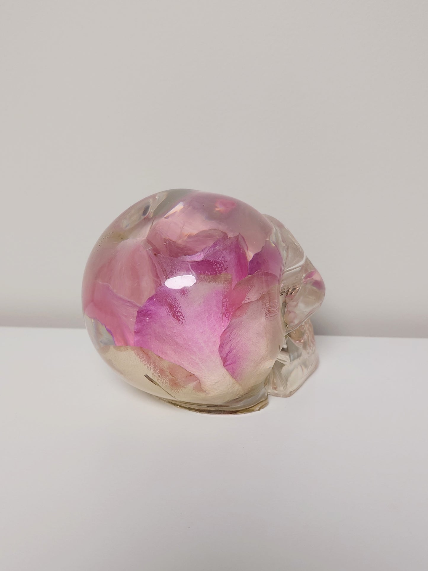 Hodeskalle rosa rose