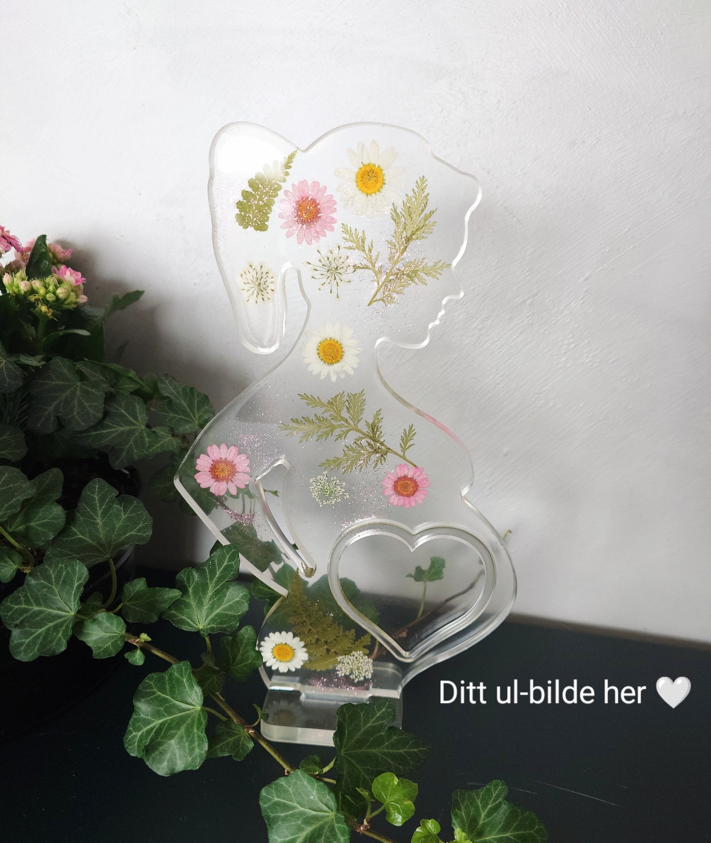 Gravid dame med ultralydbilde