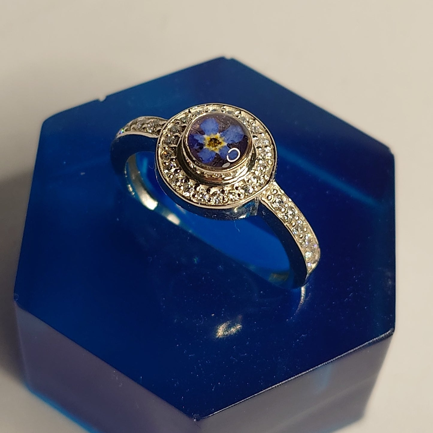 Torill bling