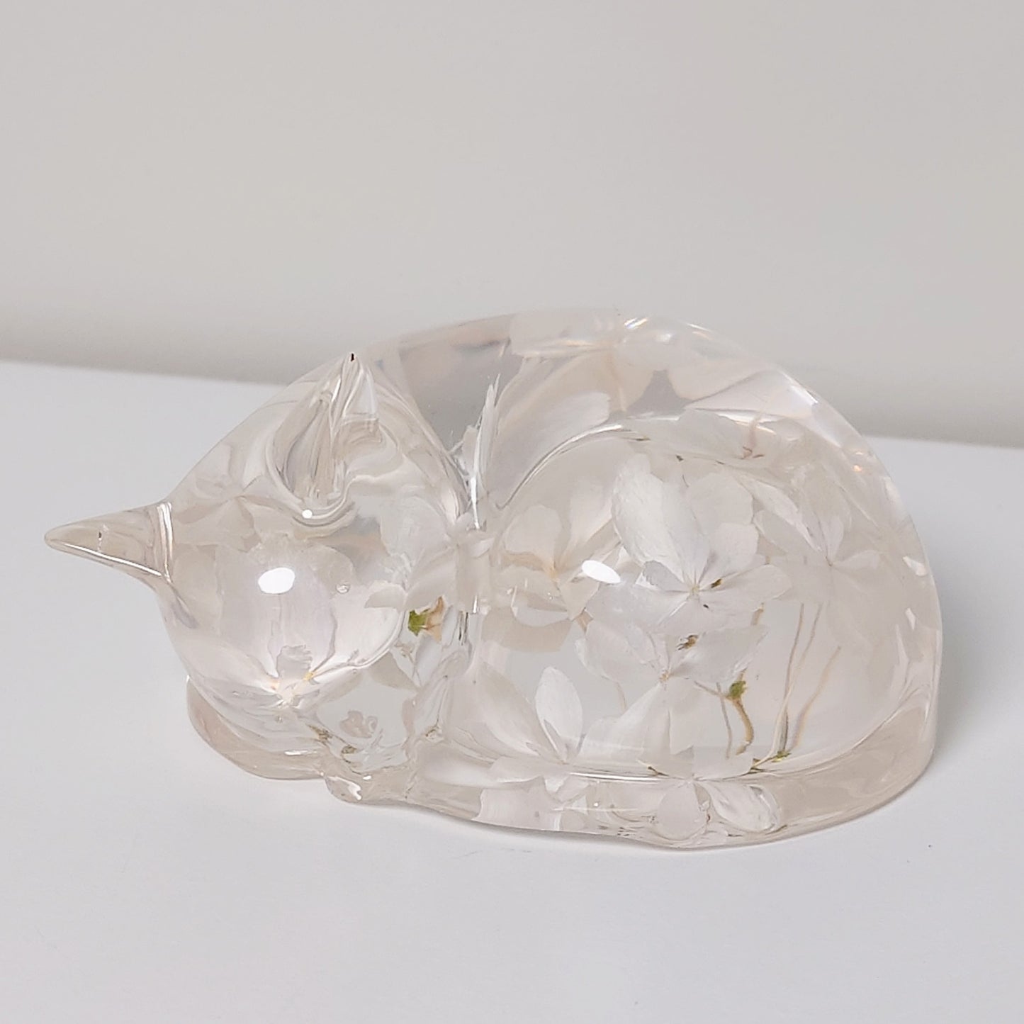 Sovende katt