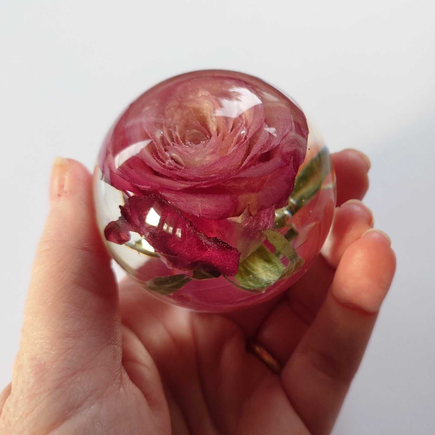 Glasskule med ekte rose