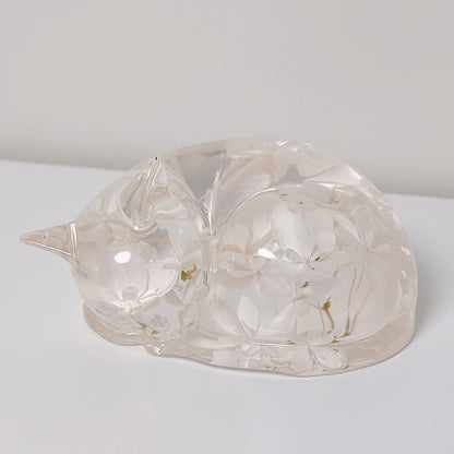 Sovende katt