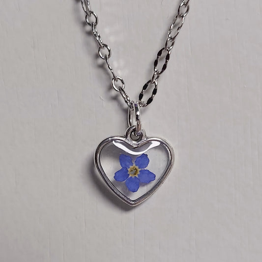 Lite hjerteanheng med ekte Forglemmegei