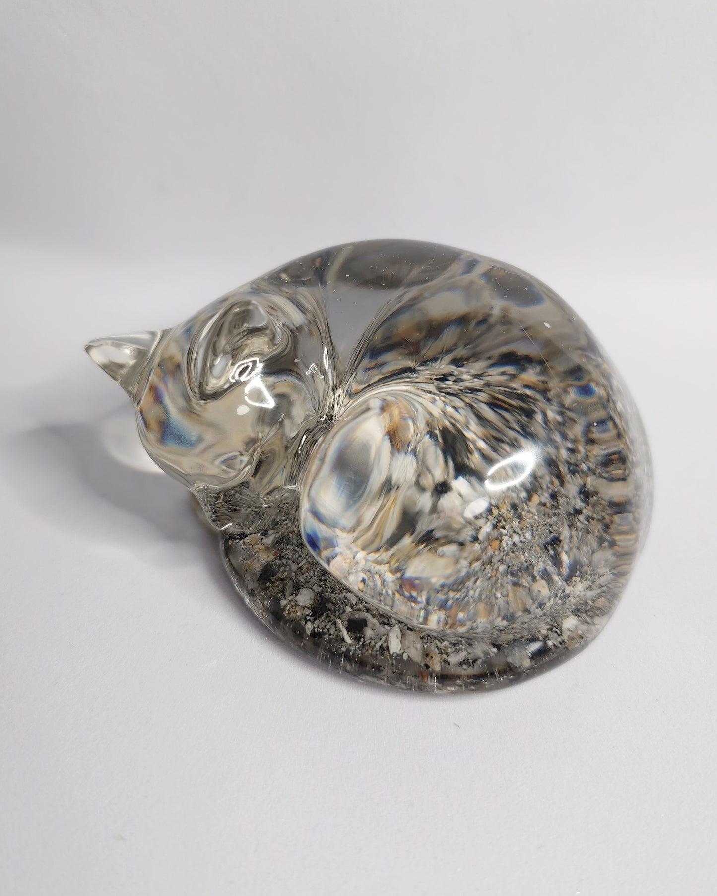 Sovende katt
