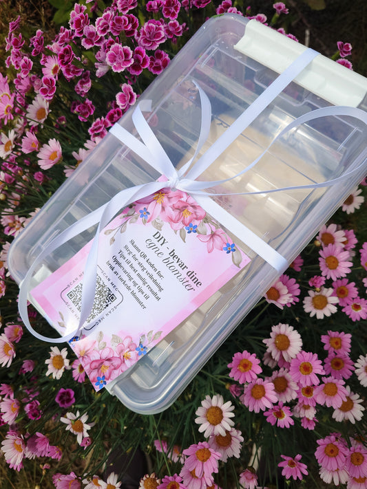 DIY-kit: Tørk dine egne blomster
