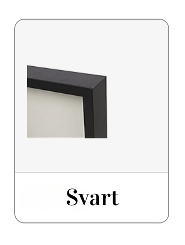 Brudebuketten i ramme (sendes ikke i posten, må hentes)