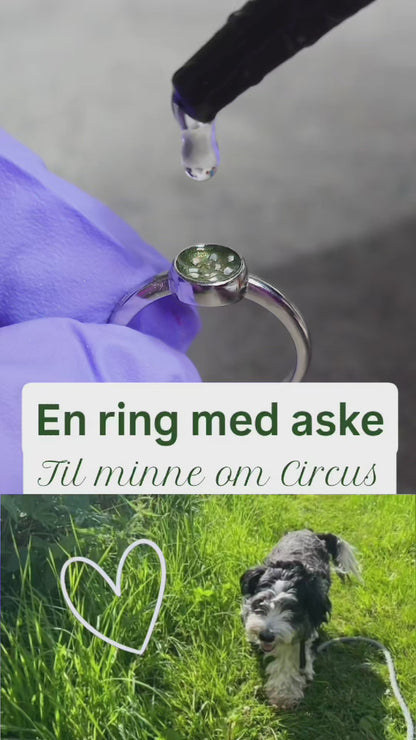 Torill klassisk