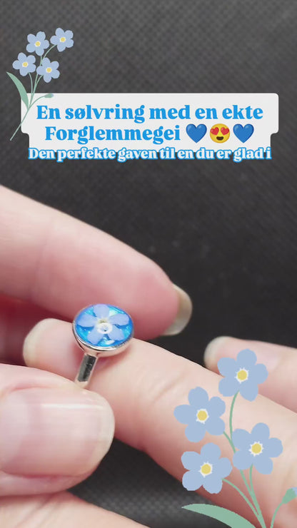 Forglemmegei justerbar ring
