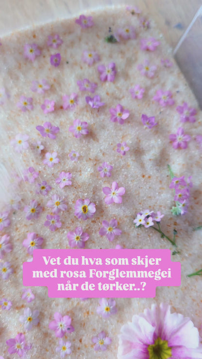 DIY-kit: Blomsterpreservering