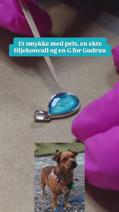 Heidi klassisk